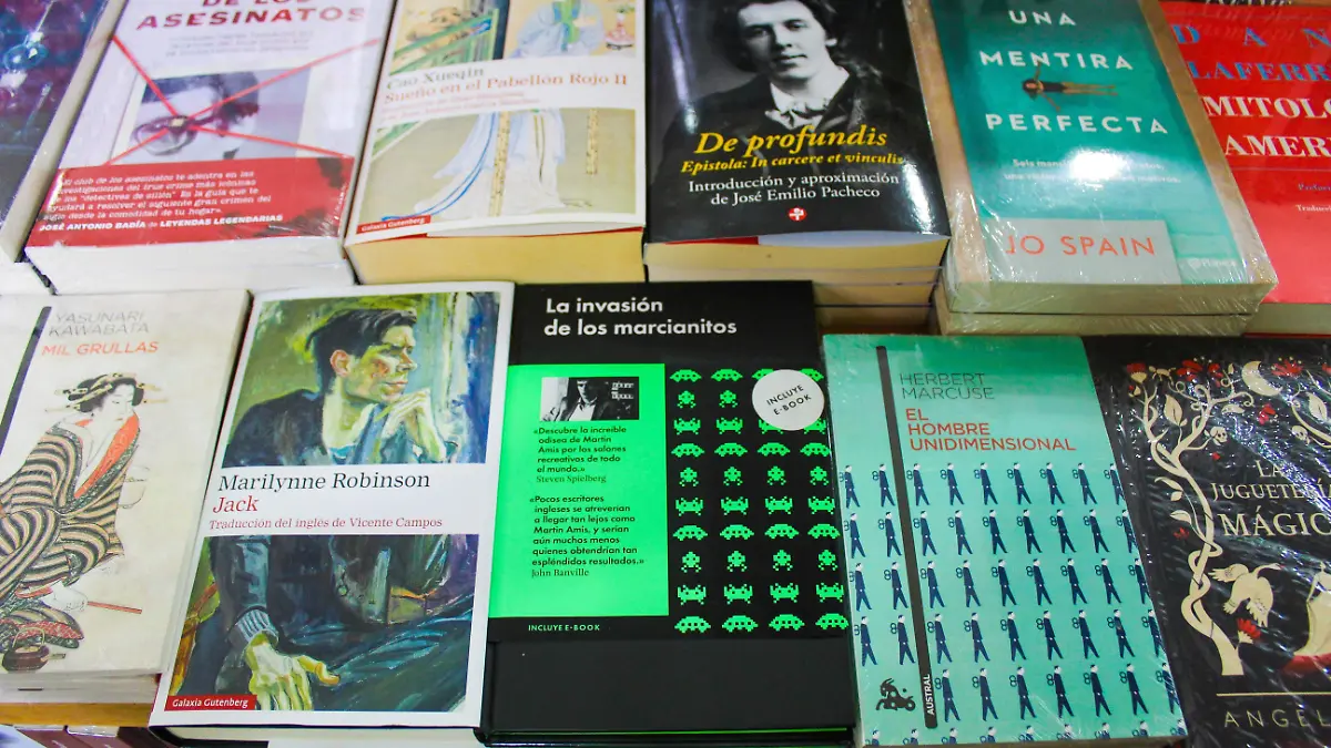 ROBO LIBROS_JGS (7)